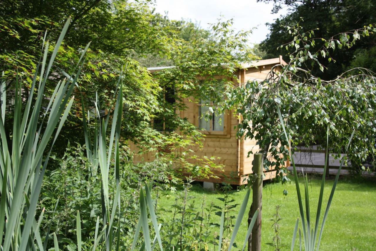 Owl Lodge Cowling Kültér fotó
